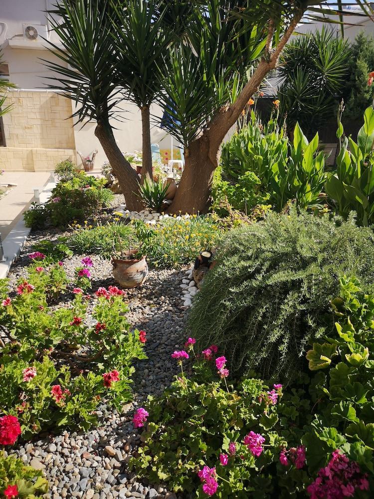 Nicolas Studios & Apartments Agia Marina Екстериор снимка